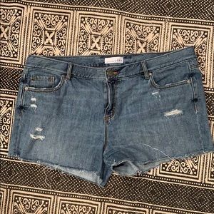 Loft Distressed Jean Shorts